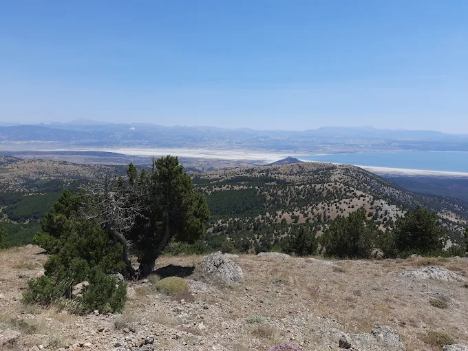 YENİ TEPE-TÜRBETEPE YÜRÜYÜŞÜ