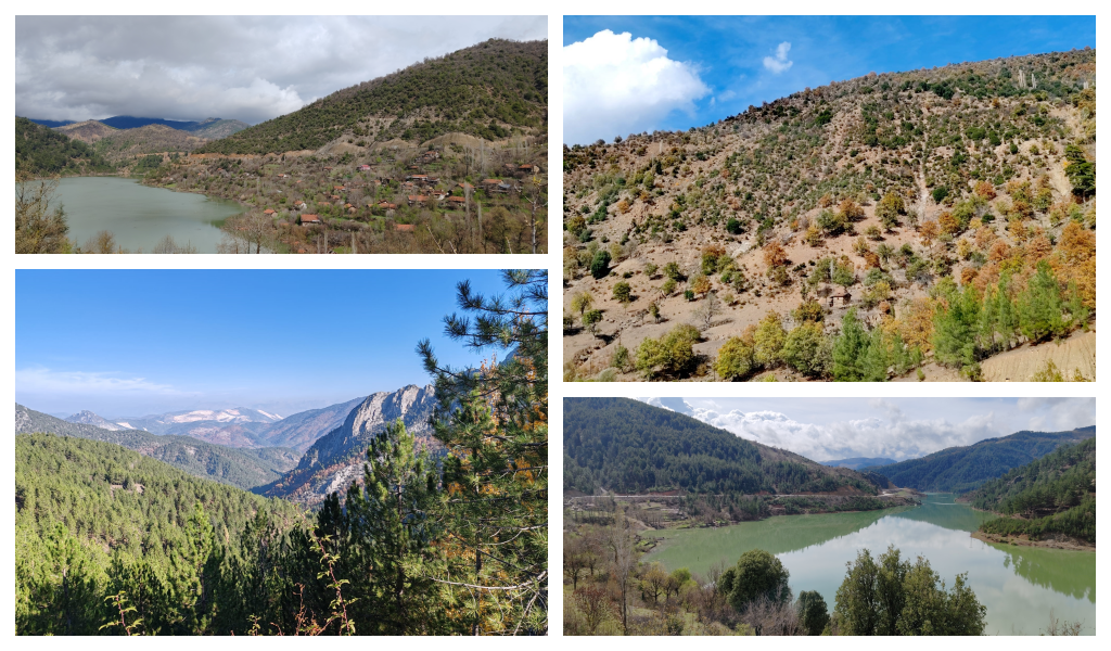 ST. PAUL KESME- KASIMLAR - DARIBÜKÜ BARAJI YÜRÜYÜŞÜ