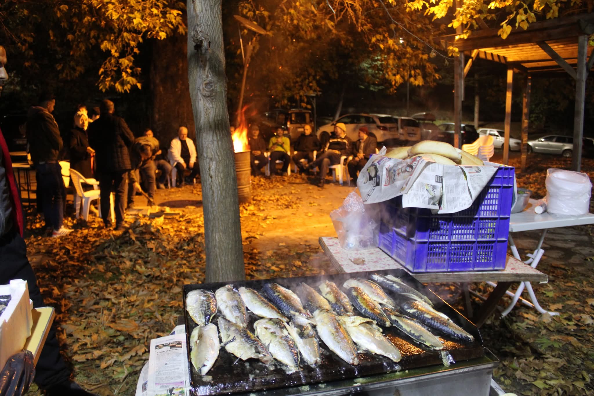 GÖLDOSK İLE BALIK GECESİ